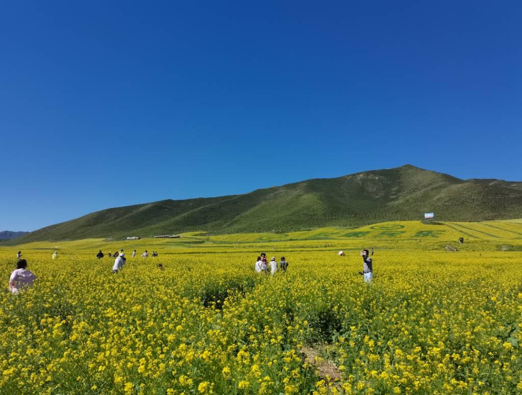 图为调研团来到扁都口旅游景区进行调研。 胡颖杰 摄