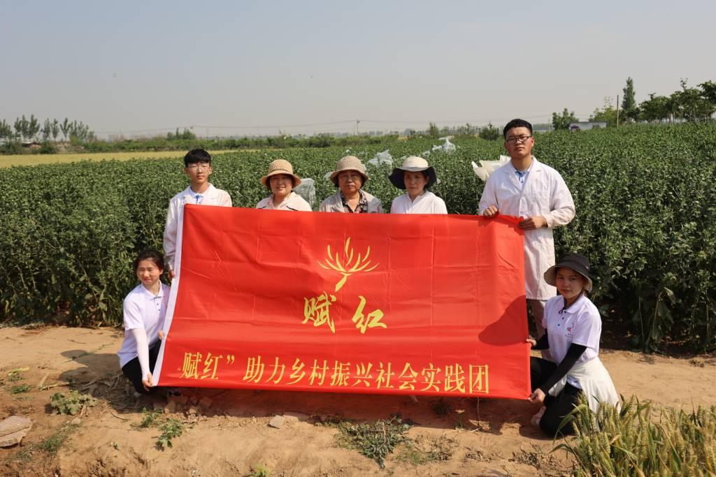 赋红团队到红林村进行实地考察