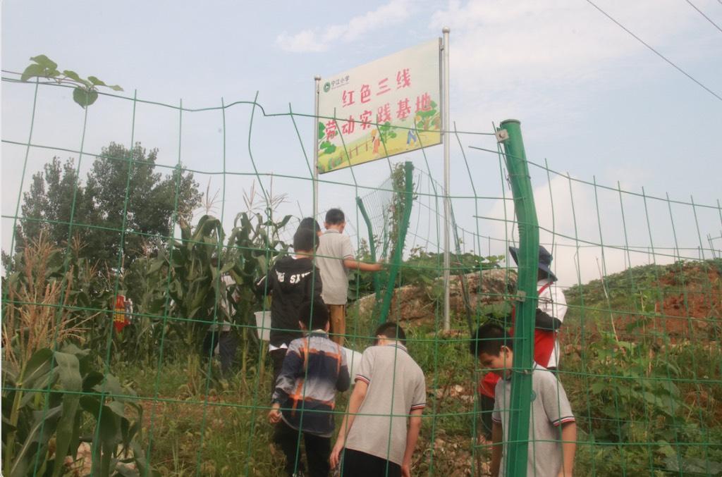 学生们在学校的红色三线劳动实践基地中。