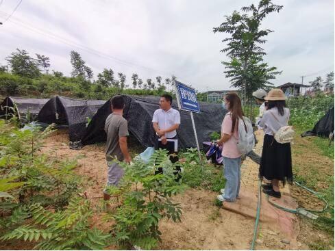 图为贵湾村村长为实践队员介绍香椿产业基地。通讯员李梦婷供图。