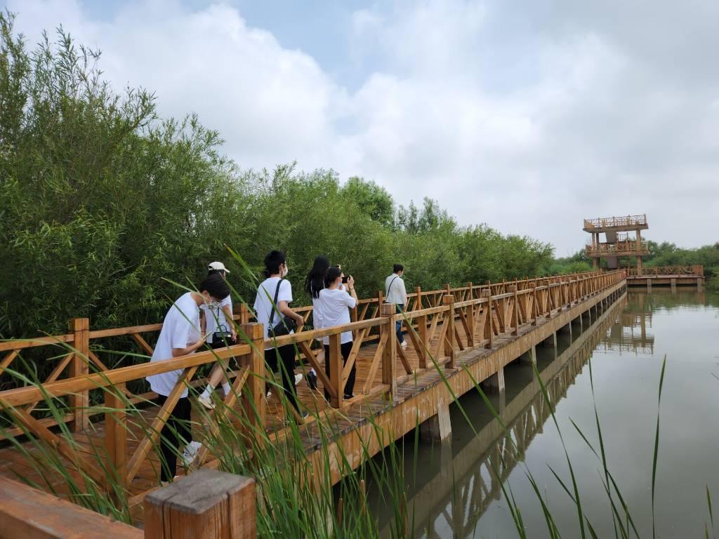 图为垚垚致远实践队在自然保护区栈道上观赏植被和生物。