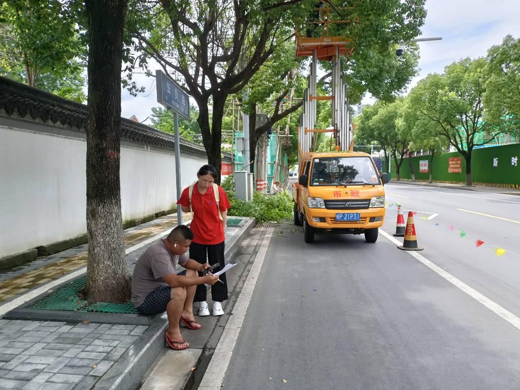 图为实践团成员发放问卷。通讯员 沈月月 供图