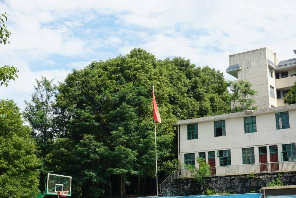 图为双塘小学的美丽景色 安敏供图