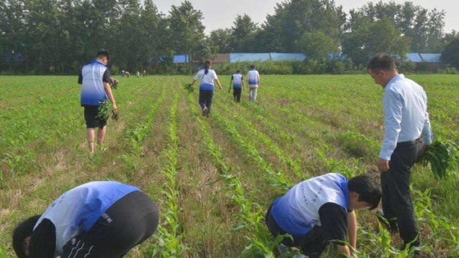 图为赵坤先生亲自带领队员进行实践劳动 在理论学习之后，赵坤先生亲自带着团队成员下玉米地，和农民伯伯婶婶们一起干活，亲身感受干农活的不易和艰辛，在实践过程中团队成员也学会了许多知识，亲身体会到了劳动的辛苦，在这片土地上挥洒出了自己的汗水。赵坤先生也在旁指点，指出团队成员过程中所犯的错误并让团队成员加以改正。原来，农间劳作也并不是看上去那么简单，这不仅需要劳动者具有不怕吃苦，坚持不懈的精神，也需要一定专业知识的铺垫和不断的练习。团队成员作为学生也应该的坚持不懈，奋力向前。