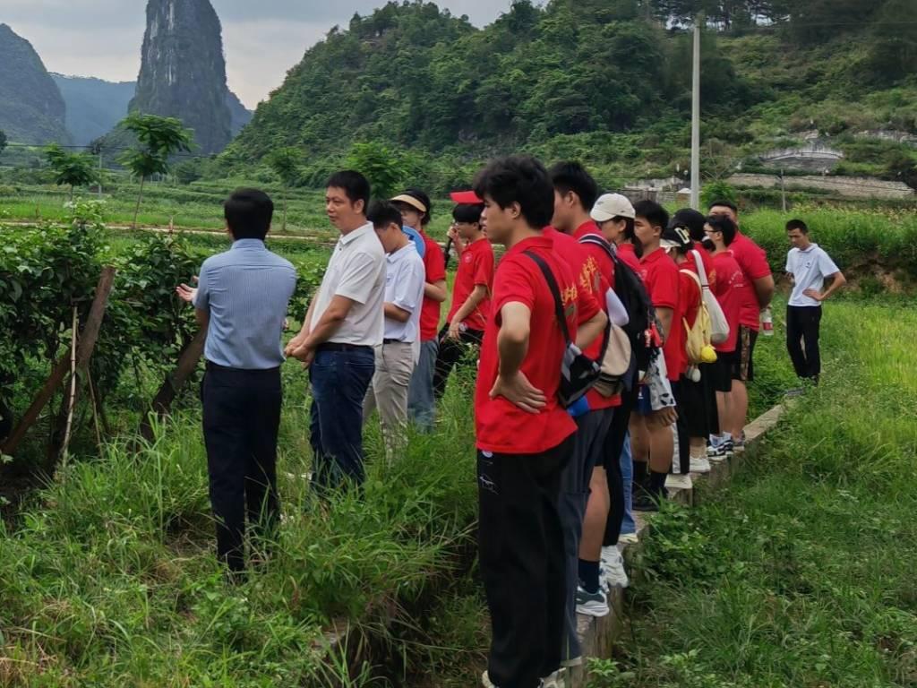 图为实践小队走进福赖村百香果种植园参观。茂盛的果藤爬满架子，黄金百香果挂满藤蔓，村干部热情摘果给实践小队品尝。实践团队了解到福赖村因地制宜，引导村民改变为发展百香果、西瓜、甘蔗、景观树等特色农业种植模式，农民的种植积极性提高了，推动了农民收益。