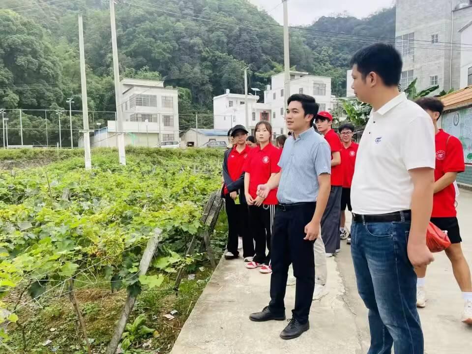 图为实践团队沿村参观桃永村特色水果种植区。实践团队了解到桃永村主要种植着嘉宝果、葡萄、桂花梨等特色水果，在“村级集体经济+家庭农场+基地+农户+人才”运作模式下，桃永村农业特色产品的经济发展越来越可观。