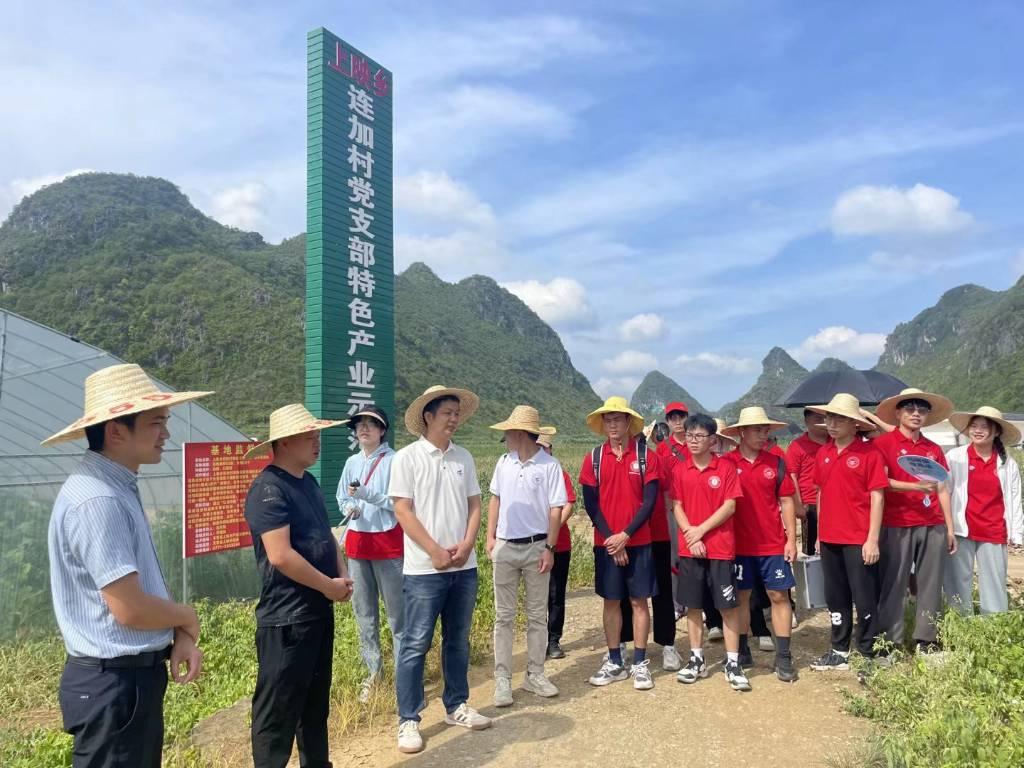 图为连加村干部带实践小队内部参观上映乡连加村党总支部特色产业示范基地。该示范基地大棚内主要种植红薯、辣椒等植物品种，实践团队与乡村党总支干部就产业链条的延伸展开创新性的建议交流。