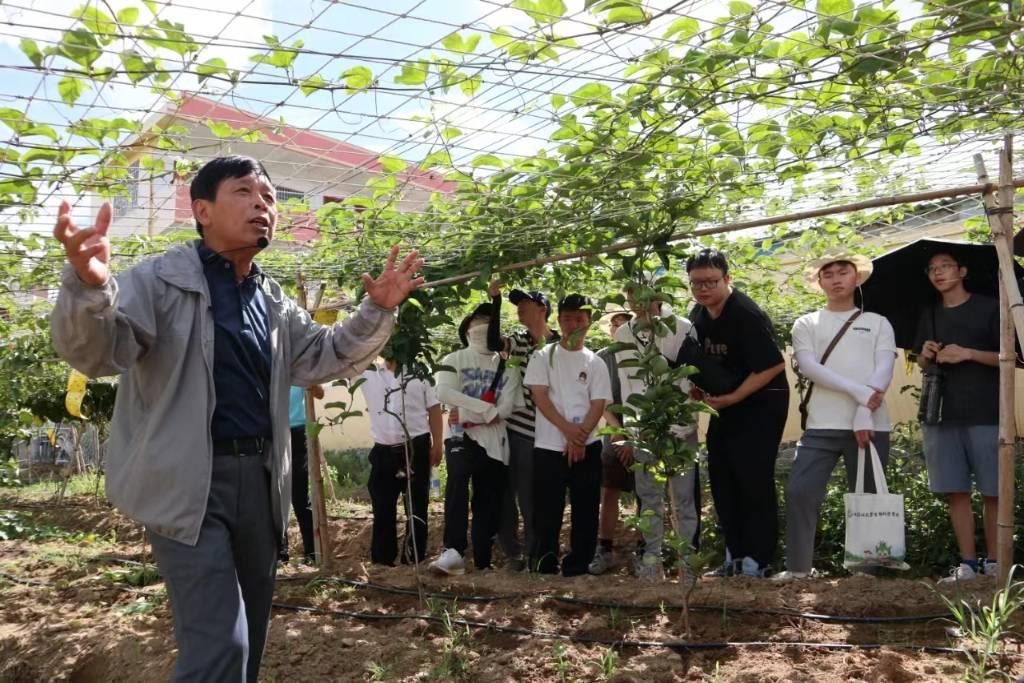 图为福建农林大学生命科学学院赴南平浦城再生稻科技小院“乡村振兴，共圆粮梦”三下乡实践队林文雄教授在莆田乡村振兴学院为福建农林大学生命科学学院2020级本科生讲解立体农业。