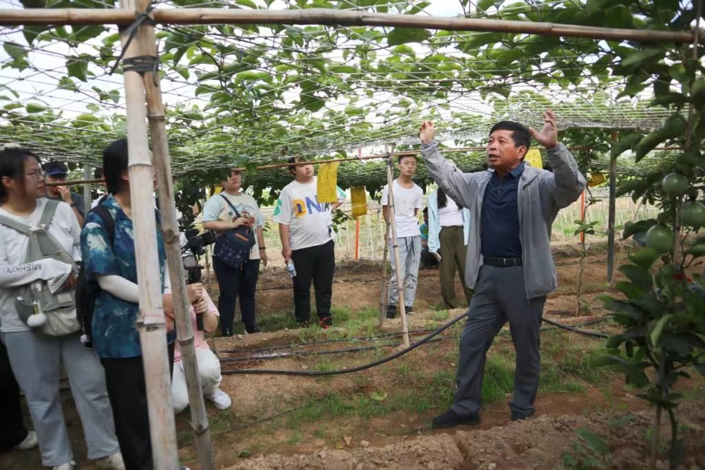 图为福建农林大学生命科学学院赴南平浦城再生稻科技小院“乡村振兴，共圆粮梦”三下乡实践队林文雄教授在莆田乡村振兴学院为福建农林大学生命科学学院2020级本科生讲解百香果种植技术。