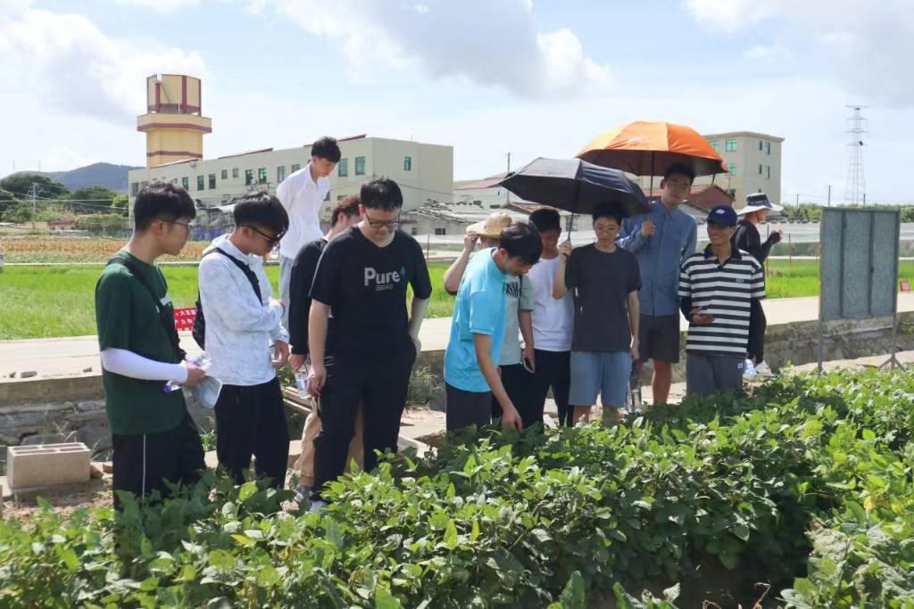 图为福建农林大学生命科学学院赴南平浦城再生稻科技小院“乡村振兴，同圆粮梦”三下乡实践队成员在插秧比赛开始之前进行循环农业科普。