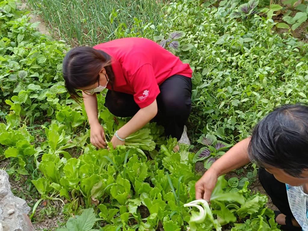 图为社会实践成员在田间帮助老人除草。通讯员 郭谊冉 供图