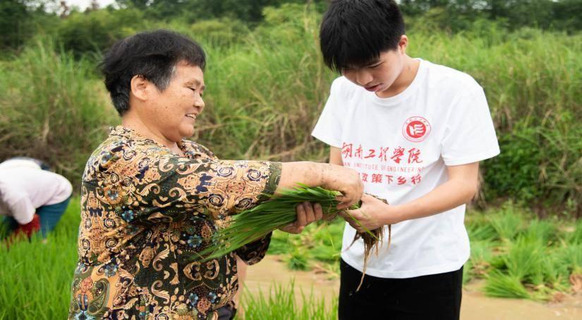 图为乡亲们现场指导实践团成员捆秧苗。活动伊始，对于插秧苗，大家都有些不知所措，但在当地农民的耐心指导下，队员们迅速掌握了插秧苗技巧与方法。