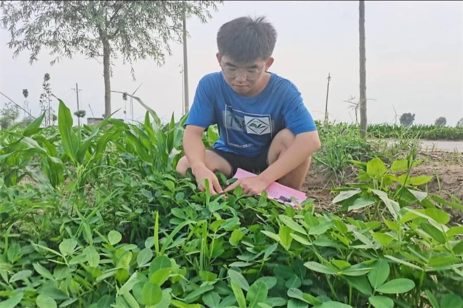 图为实践队员在田间地头调查