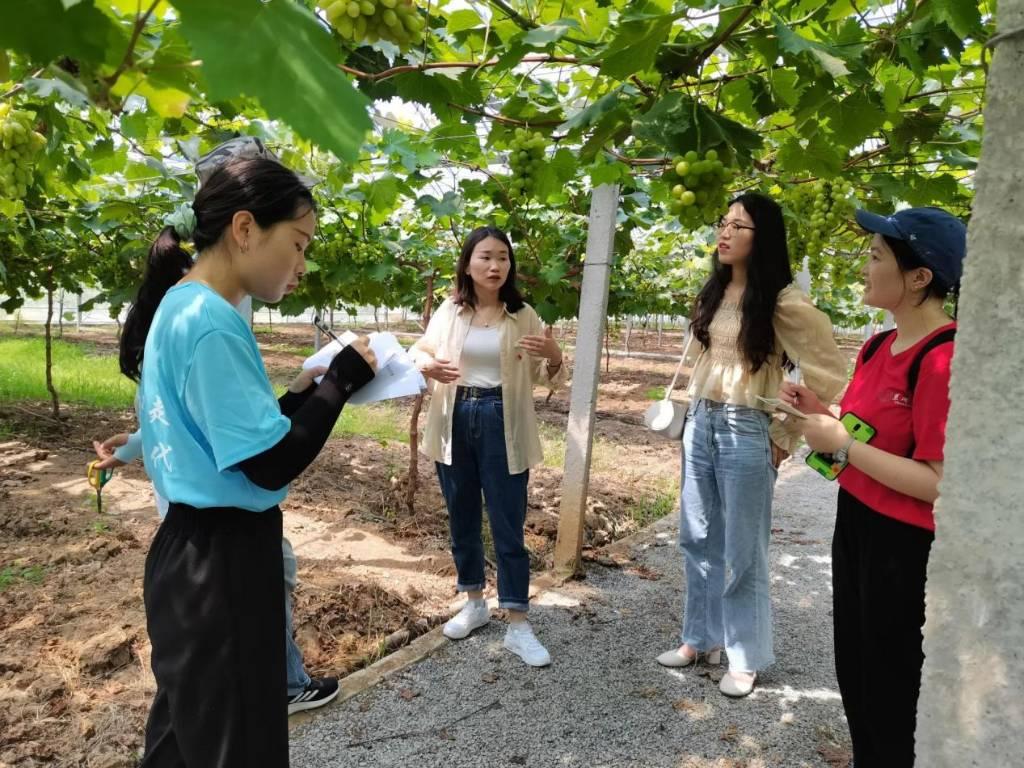 大学生网报新乡7月21日电（通讯员 曾森 屈邵奕）借助新媒体平台宣传正能量。为宣传家乡的传统文化，切身感受家乡文化的魅力，7月16日河南科技学院“‘云宣传’，传播正能量”活动正式开始。团队成员走进自己的家乡，记录家乡的传统文化，借助新媒体平台实现“云宣传”，传播家乡文化。 图为实践队员调研家乡农产品 通讯员 曾森 摄