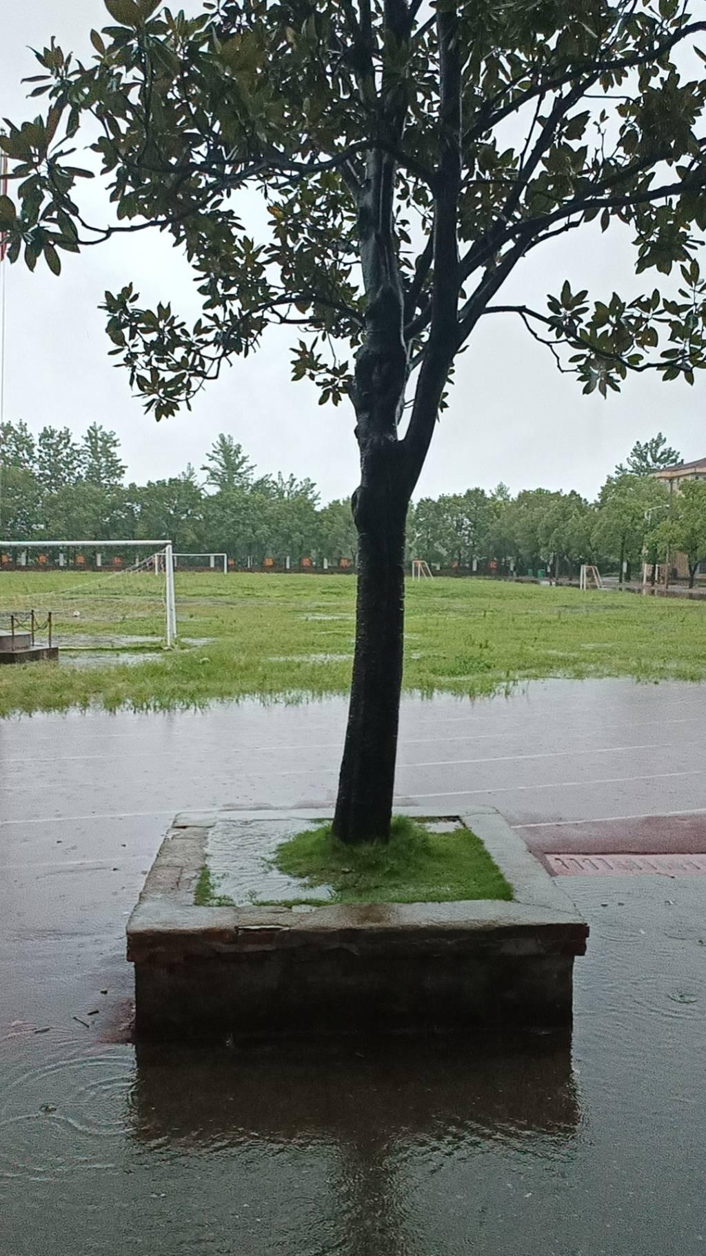 图为赤壁镇中学大雨转小雨过后的操场，雨水都淹没了跑道。大学生网报通讯员 王曼昕供图