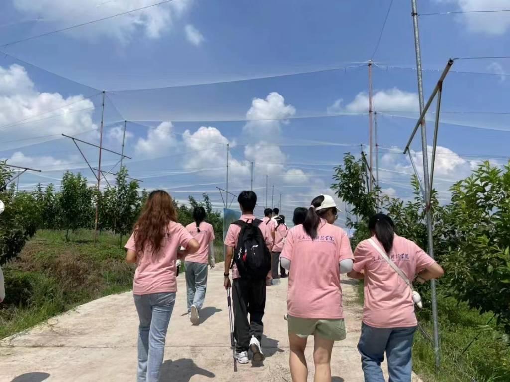 图为实践成员参观樱桃基地 曾雨露拍摄