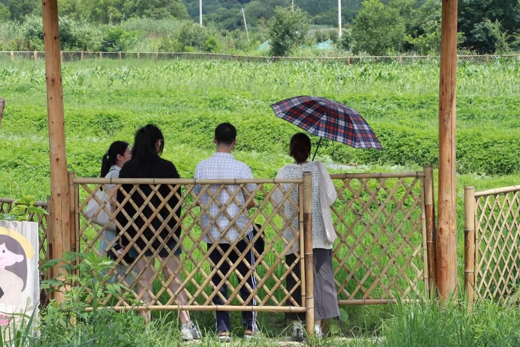 图为社区负责人带实践团成员参观巧嫂助农蔬菜试验基地。