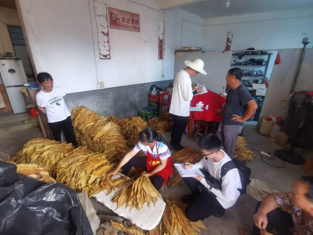 实践队员们就秸秆还田和生物农药等绿色发展问题，对农户进行问卷调查和访谈。