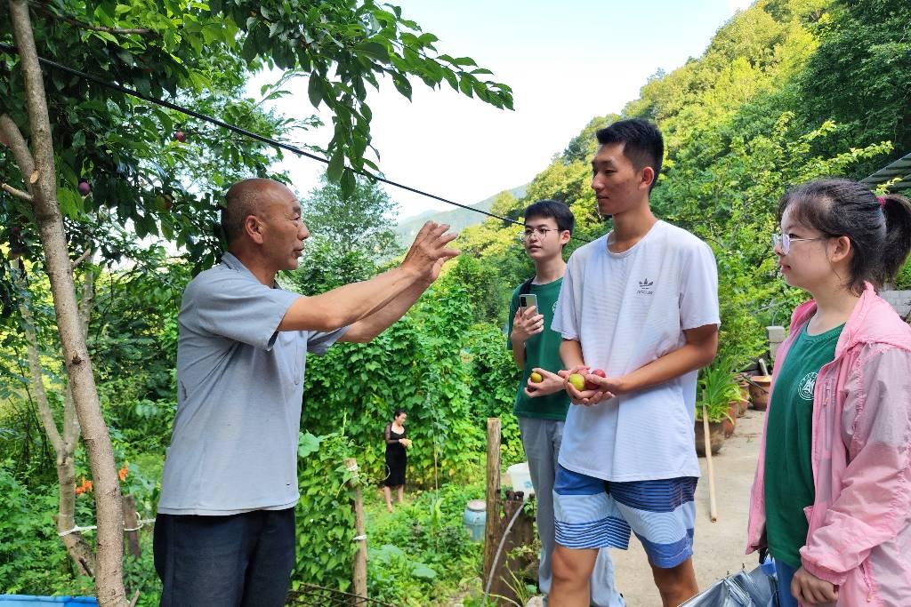 图为实践团队与蜂农向伯伯交流蜂蜜产业。华中农业大学 何姝翰 摄