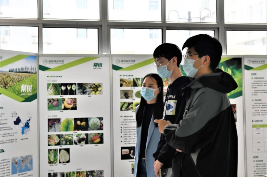 图为校内教师和学生正在了解作物健康知识