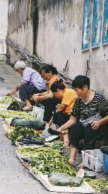 作品名为《摆摊》，其龙村的发展迅速，在城市化进程中仍保留了乡村特点，人们在保证自我生活需求足够的情况下，还能把多余的菜拿来出售。