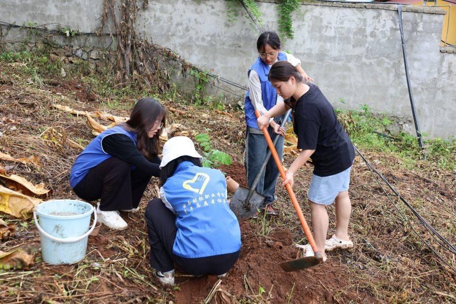 图为实践团种下财职人的“希望之树”。云南财经职业学院 冯全辉 提供