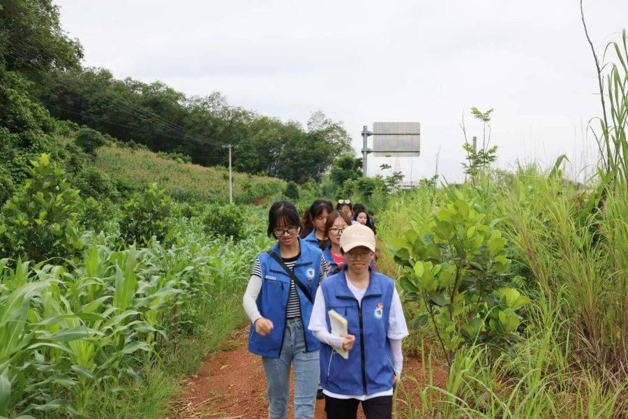 图为实践团前往菠萝蜜、坚果种植基地走访调研的路上。云南财经职业学院 冯全辉 提供