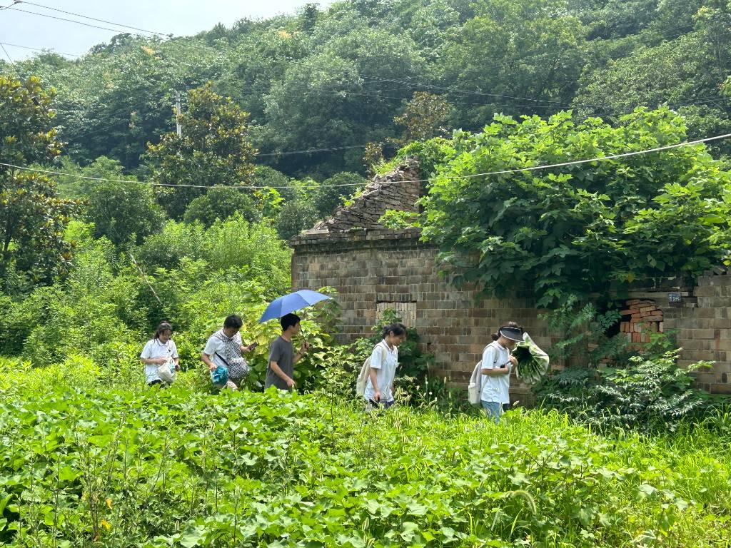 图为巢湖学院旅游管理学院“巢湖北岸古建筑保护与利用实践团队”在指导老师的带领下，正在对仙踪镇六衖村的古建筑进行实地调研。团队在这里通过研究考察古建筑了解道路当地特殊的地理环境和别具一格的建筑风格。古老村落至今仍保留石屋、石墙、石路、等民居建筑的历史遗迹，是山区村落的独特代表，这里犹如一片世外桃源，山峦连绵、群峰竞秀、泉水潺潺，漫步其间宛如“人在画中游”。