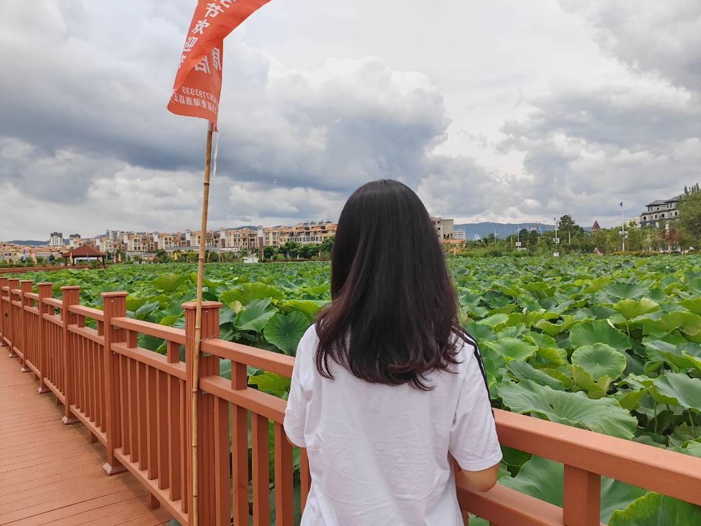 ﻿图为成员观赏江川区佳莲湖畔公园，了解江川区旅游建设情况。