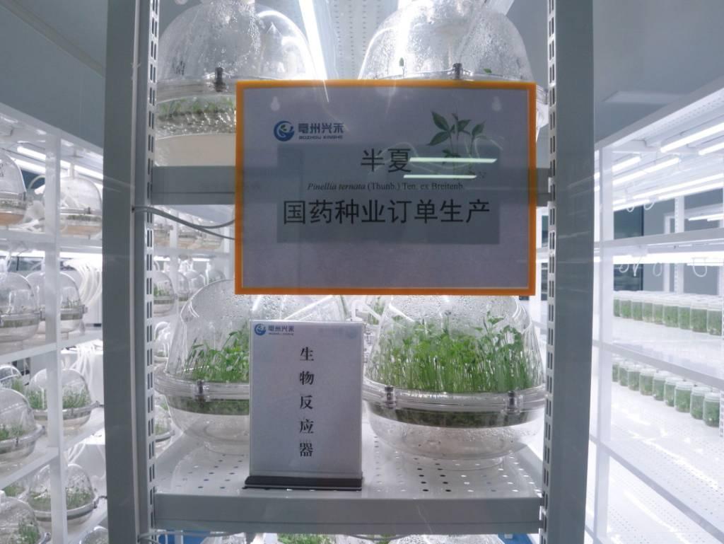 图为兴禾公司的生物反应器