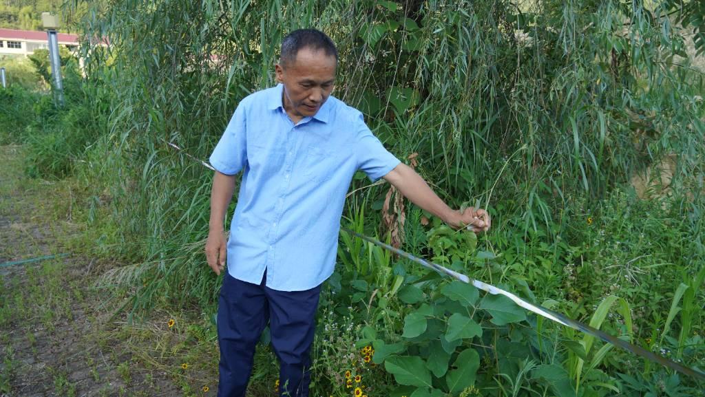 2023.7.9 林老师正在介绍嵌套种植，林老师正在实验只将种子洒在土地上，不施肥、不浇水，让他们自然生长。不仅是有一些农产品收获，更主要的是在贫瘠的土地上通过嵌套种植自然生长可以改善土地的贫瘠。