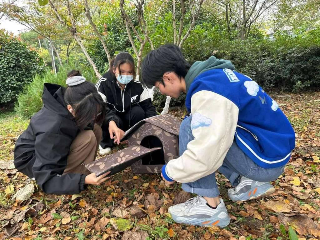 图为同学们利用在校园中收集的旧衣物为流浪狗猫制作过冬的小窝。