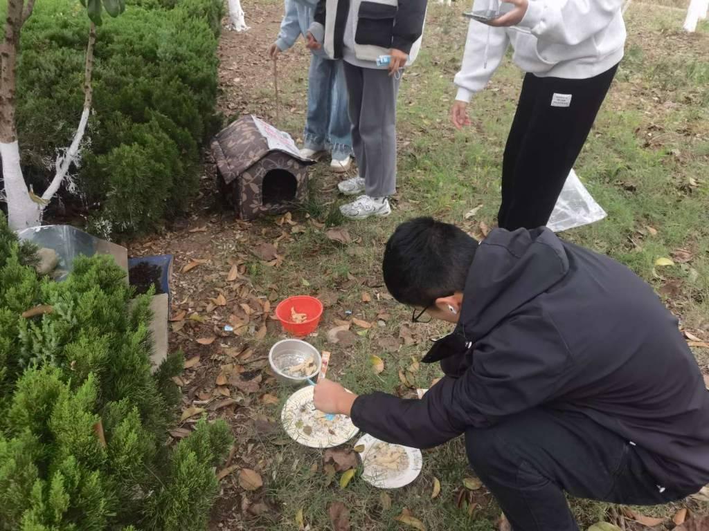 图为同学们利用在校园中收集的旧衣物为流浪狗猫制作过冬的小窝。