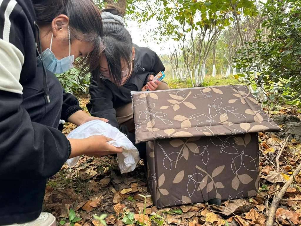 图为同学们利用在校园中收集的旧衣物为流浪狗猫制作过冬的小窝。