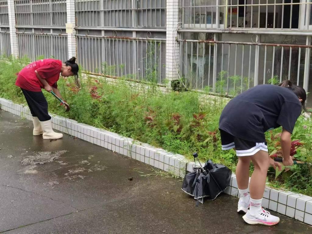 图为实践团队队员们回校后在为学校除杂草