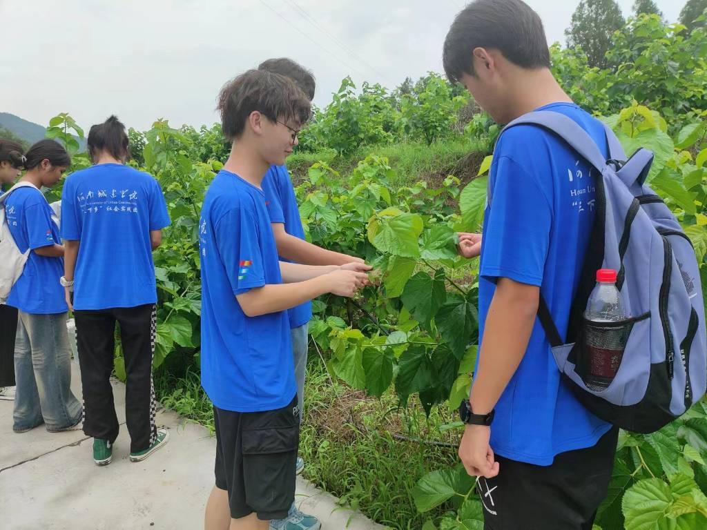 河南城建学院土木与交通工程学院走进鲁山县四棵树乡张沟村了解桑树养殖产业