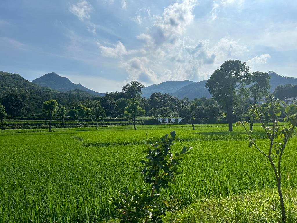 该图为錾子石村柿里牧歌出的风景图