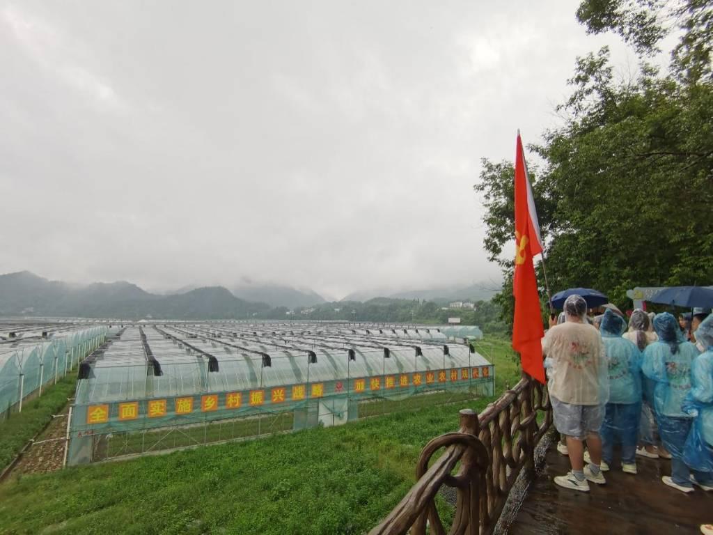 图为实践队来到农产品种植基地，参观“公司+基地+农户”乡村振兴新模式，学习国家新时代乡村振兴战略。陈颖 供图