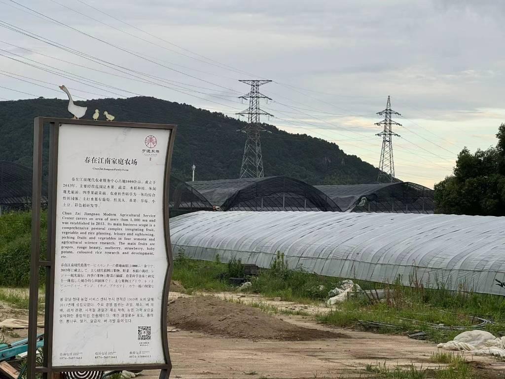 图为团队成员参观象山县东陈乡岳头村春在江南家庭农场，大棚内种植的是象山特产红美人。 田诗颖 提供