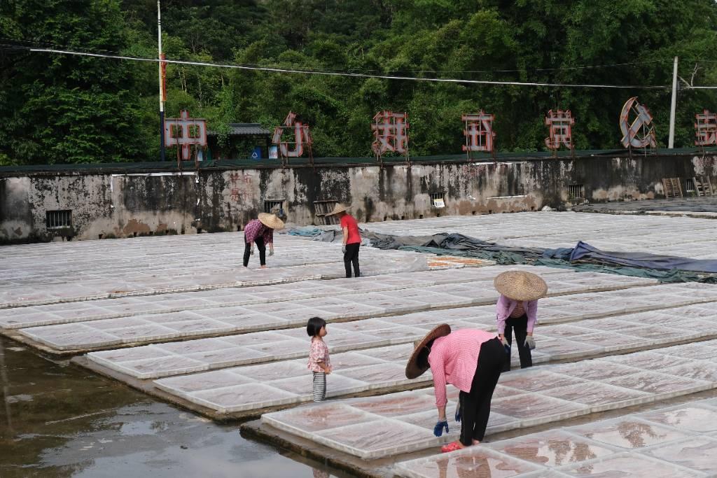 图为成员参观鸿福加工厂青梅晾晒地，向工厂厂长了解青梅产业发展现状。