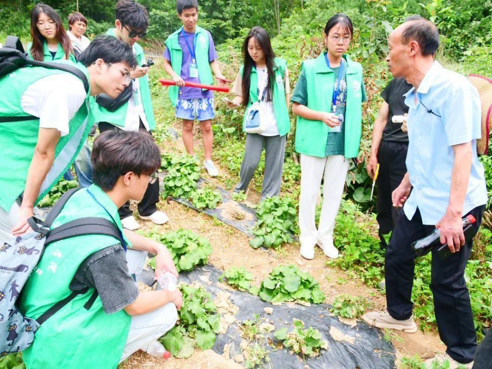 刘主任和当地村民为志愿者们讲解野油菜的特点