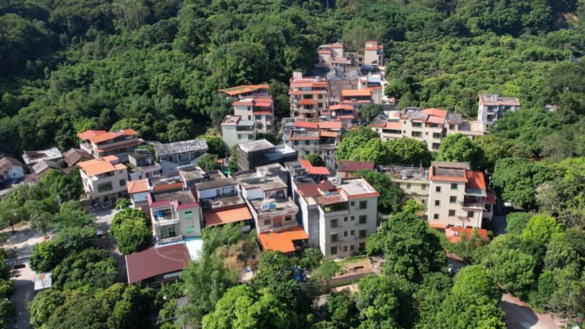 图为用航拍技术拍下的蒙花布村建筑群，2024年7月18日拍摄于蒙花布村。智媒匠心实践队供图