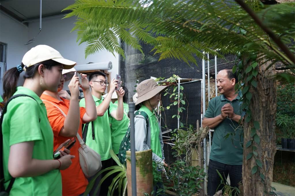 图为南靖·明图兰科植物保种中心负责人为实践队成员介绍南靖县兰花种质资源现状。仝恩慧 供图