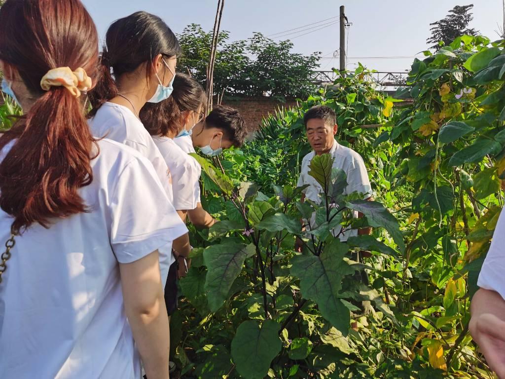 图为志愿者在菜地听菜伯讲解蔬菜种植知识、了解蔬菜生长周期。