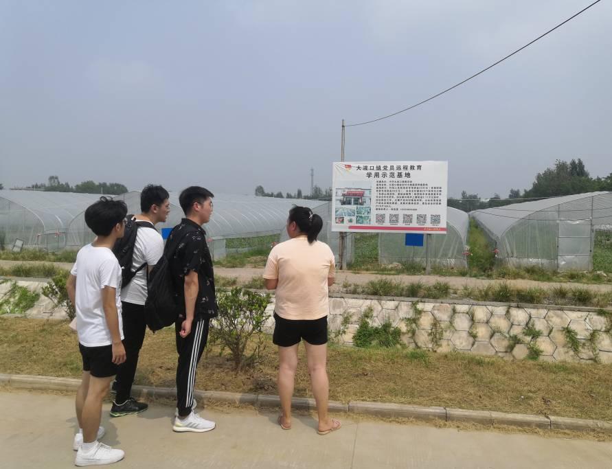 图为安全村扶贫专干向实践队员介绍主导产业大棚种植基地（通讯员 李帅 摄）